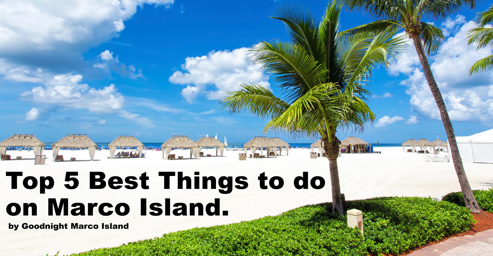 The Top 5 Best Things To Do on Marco Island Marco Island Blog